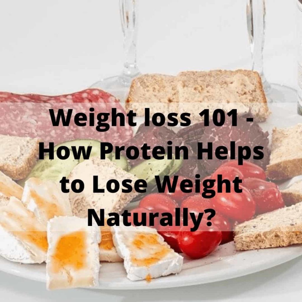 protein to lose weight