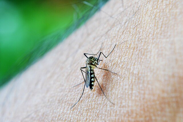 A study has found that drug-resistant malaria is spreading in Southeast Asia