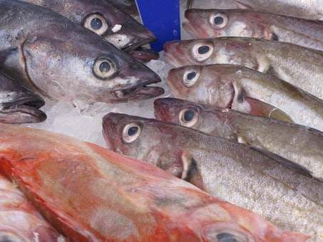 herrings, grate food,