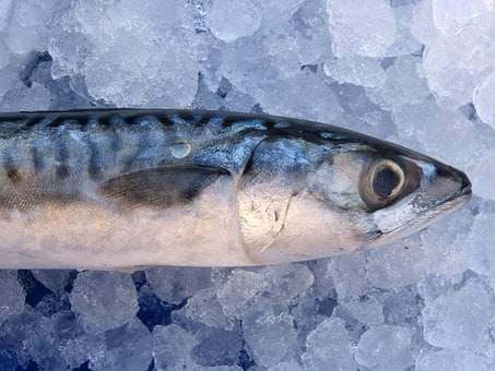 mackerel, omega-3 fatty acids