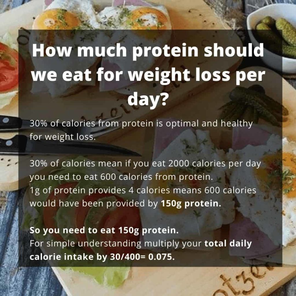 how much preotein per day. how much protein should eat per day, per per day to lose weight, how much protein to eat to lose weight per day.