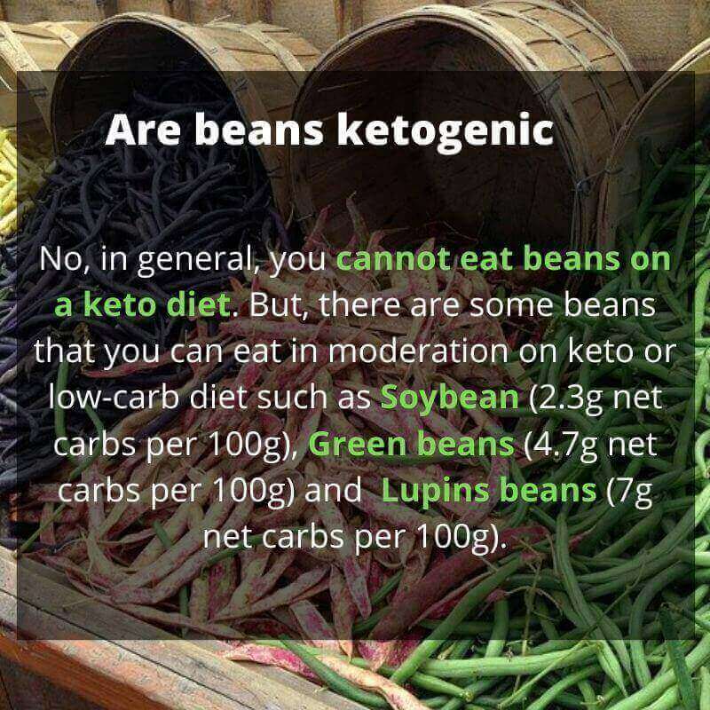 are beans ketogenic, are bean keto friendlt, should you eat bean on keto,