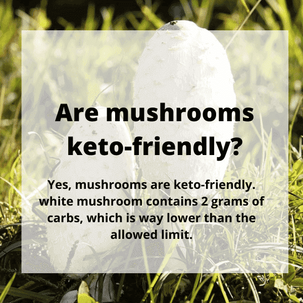 are mushroom keto friendly